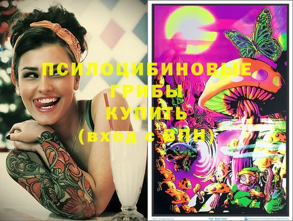 мдпв Вязники