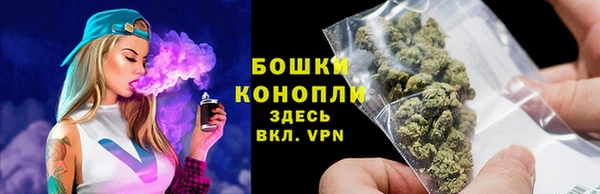 мдпв Вязники