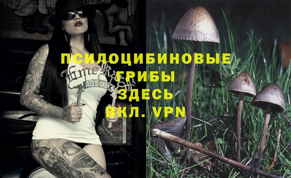 мдпв Вязники