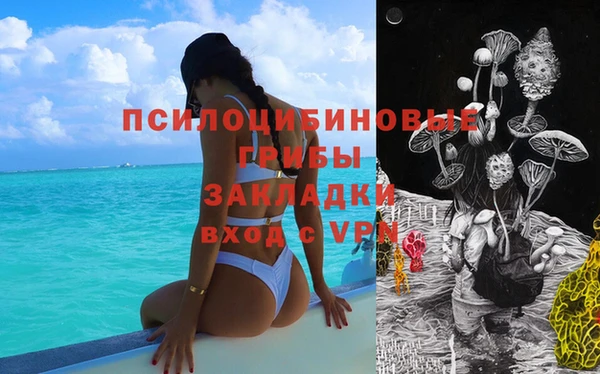 ECSTASY Вяземский