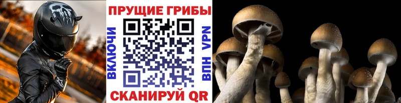 Галлюциногенные грибы Magic Shrooms Купить закладки Полысаево